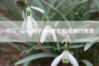 南安男子5000米年龄成绩对照表