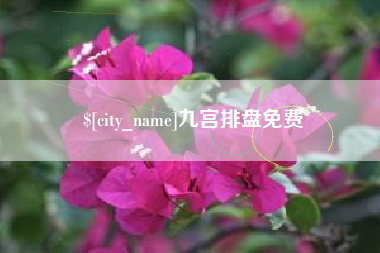 南安九宫排盘免费