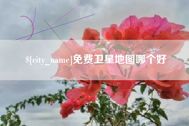 南安免费卫星地图哪个好