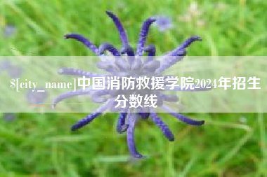 南安中国消防救援学院2024年招生分数线