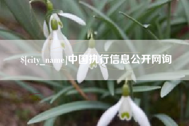 南安中国执行信息公开网询