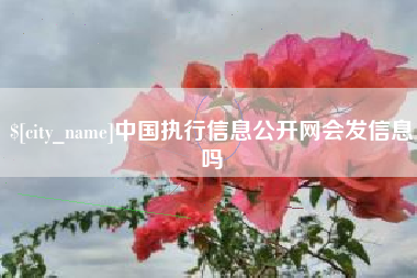 南安中国执行信息公开网会发信息吗