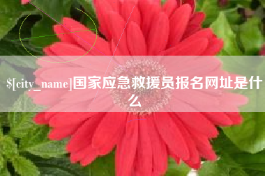 南安国家应急救援员报名网址是什么