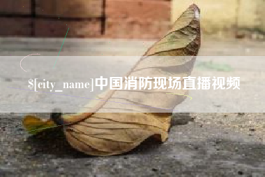 南安中国消防现场直播视频