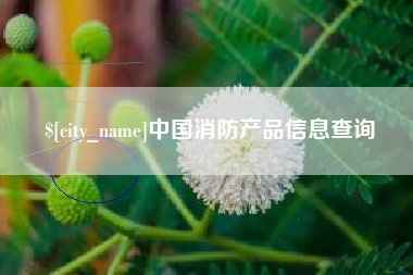 南安中国消防产品信息查询