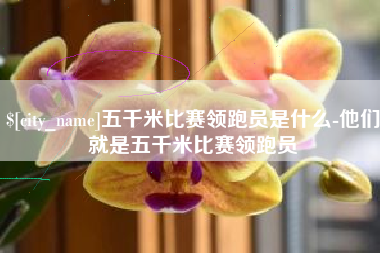 南安五千米比赛领跑员是什么-他们就是五千米比赛领跑员