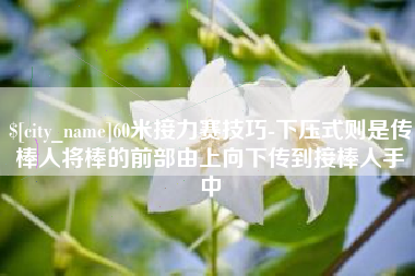 南安60米接力赛技巧-下压式则是传棒人将棒的前部由上向下传到接棒人手中