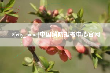 南安中国消防报考中心官网