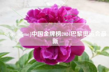 南安中国金牌榜2024巴黎奥运会最新