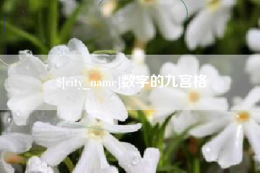 南安数字的九宫格