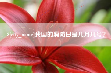 南安我国的消防日是几月几号？
