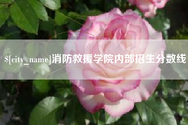 南安消防救援学院内部招生分数线