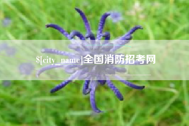 南安全国消防招考网