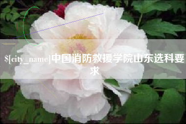 南安中国消防救援学院山东选科要求