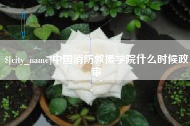 南安中国消防救援学院什么时候政审