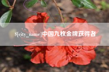 南安中国九枚金牌获得者