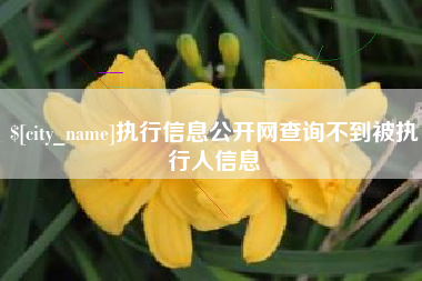 南安执行信息公开网查询不到被执行人信息