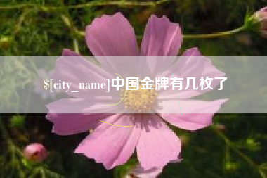 南安中国金牌有几枚了