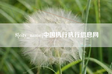 南安中国执行执行信息网