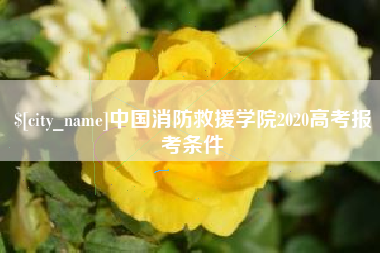 南安中国消防救援学院2020高考报考条件