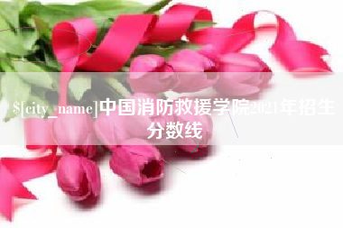 南安中国消防救援学院2021年招生分数线