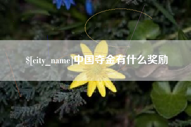 南安中国夺金有什么奖励