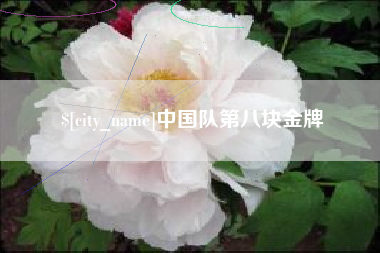 南安中国队第八块金牌