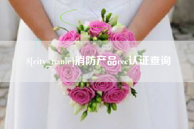 南安消防产品ccc认证查询