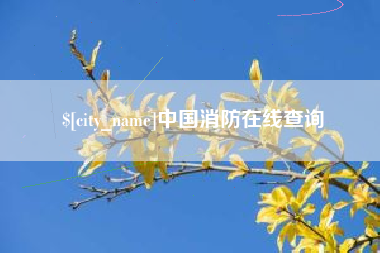 南安中国消防在线查询