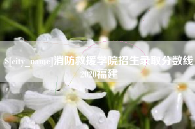 南安消防救援学院招生录取分数线2020福建