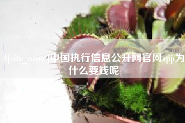 南安中国执行信息公开网官网app为什么要钱呢
