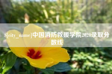 南安中国消防救援学院2021录取分数线
