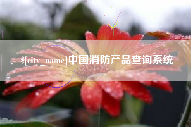 南安中国消防产品查询系统