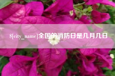 南安全国的消防日是几月几日
