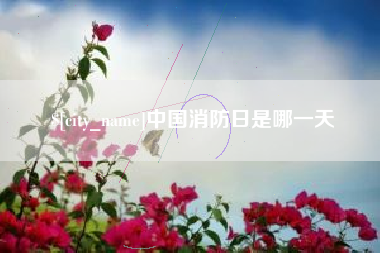 南安中国消防日是哪一天