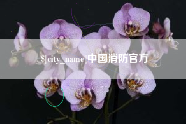 南安中国消防官方