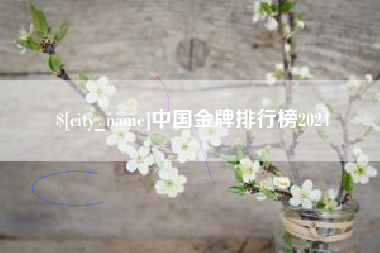 南安中国金牌排行榜2024