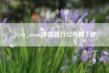 南安中国执行公开网下载