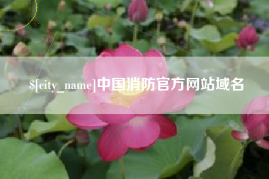 南安中国消防官方网站域名