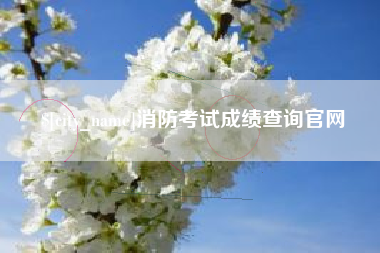 南安消防考试成绩查询官网