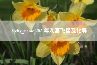 南安2021年九宫飞星及化解