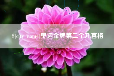 南安奥运金牌第二个九宫格