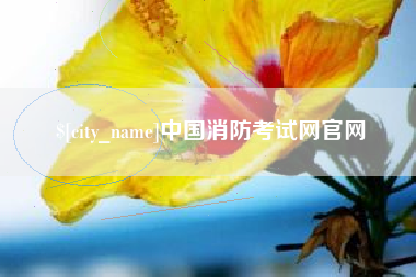 南安中国消防考试网官网
