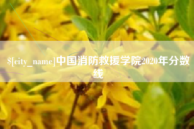南安中国消防救援学院2020年分数线