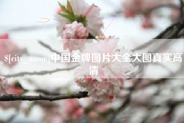 南安中国金牌图片大全大图真实高清