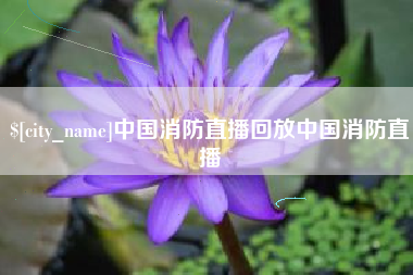 南安中国消防直播回放中国消防直播