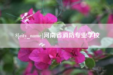 南安河南省消防专业学校