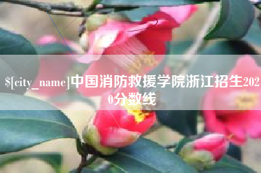 南安中国消防救援学院浙江招生2020分数线