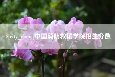 南安中国消防救援学院招生分数
