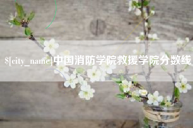 南安中国消防学院救援学院分数线